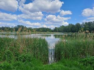 a lake with a waterfall in the middle of a field at Apartament Cykady pod Warszawą in Zielonka