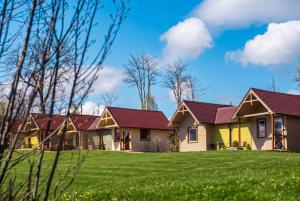 a row of houses with a green lawn at ISSA Village in Turda