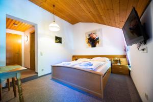 a bedroom with a bed and a tv in a room at Naturgut Gailtal in Sankt Stefan an der Gail