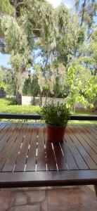 a potted plant sitting on a wooden table at Marathon Βeach Ηouse in Panayía Mesosporítissa +20 photos