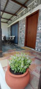 a planter with flowers in front of a building at Marathon Βeach Ηouse in Panayía Mesosporítissa