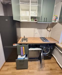 a small kitchen with a sink and a washing machine at Pine Apartment, Riga in Riga