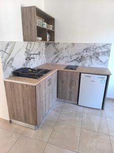 a kitchen with a counter and a dishwasher at Villa Popi Studios in Kefalos