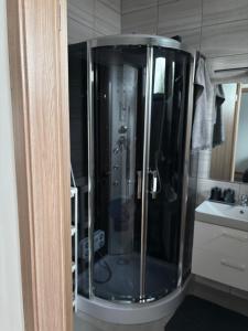 a shower with a glass door in a bathroom at Lily Beach Apartman in Balatonlelle +61 photos