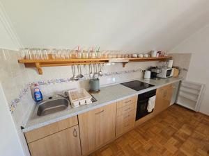 a kitchen with a sink and a counter top at Bohinjski kot in Bohinj