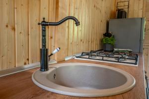 a kitchen counter with a sink and a stove at Mountain Retreat Stars Peak in Bačić Duliba