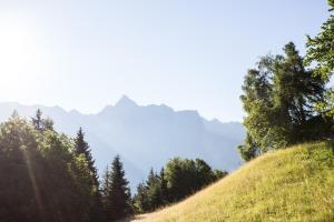 een grasheuvel met bomen en bergen op de achtergrond bij Ferienwohnungen Ötztal in Sautens
