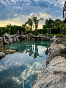 a pool of water with palm trees and rocks at Residence Villa Rosa dei Venti in Cinisi