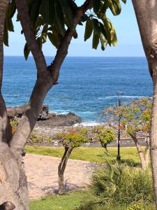 a view of the ocean through some trees at relax by the sea in Puerto de Santiago +1 photo