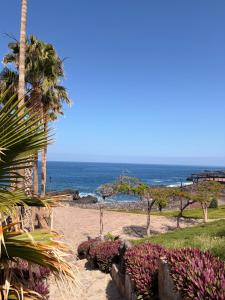 a sandy beach with palm trees and the ocean at relax by the sea in Puerto de Santiago