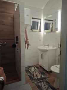 a bathroom with a shower and a sink and a toilet at Family Private House w Garden & Gazebo 10 Guests in Sarajevo +17 photos