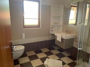 a bathroom with a toilet and a sink at Landhaus Löscher in Seeboden