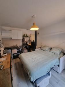 a bedroom with a large bed in a room at Studio pour 2 en plein centre-ville in Dol-de-Bretagne