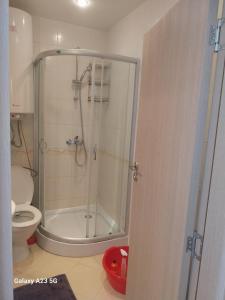 a bathroom with a shower with a toilet and a shower at Апартамент Нина in Byala
