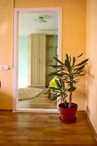 a potted plant sitting on the floor in a hallway at Apartment on Sobornyi Avenue in Zaporozhye