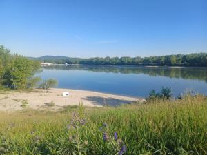 a view of a lake with a beach and trees at Dunavirág Vendégház in Pilismarót