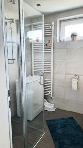 a bathroom with a toilet and a glass shower stall at Ferienwohnung Klosterblick in Homburg