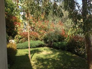 a small tree in the middle of a garden at LOCATION VACANCES NICE - Villa 5* Nice St Pancrace in Nice