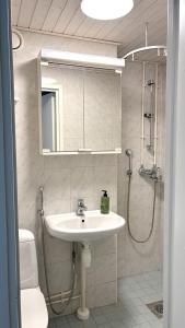 a bathroom with a sink and a shower at City Studio Kalliossa in Helsinki