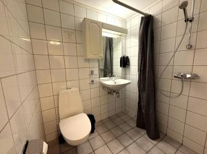 a bathroom with a toilet and a sink at Nidaros Pilegrimsgård in Trondheim