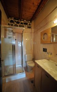 a bathroom with a shower and a toilet and a sink at Enastron in Palaios Agios Athanasios