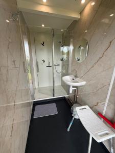 a bathroom with a shower and a sink at Tinyhouse Giethoorn in Giethoorn