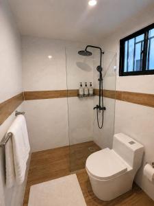 a bathroom with a shower and a toilet at Modern Cozy apartment in Boca Chica +10 photos