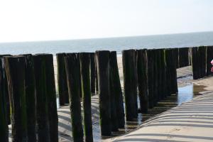 a row of wooden posts on the beach at Hoeve Hofwijk in Kamperland +14 photos