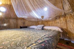 a bedroom with a bed with a mosquito net at Oaxaca Caracol in Agaete
