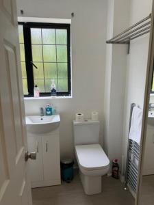 a bathroom with a toilet and a sink and a window at Spacious 5-Bed Entire Home in Sherborne Saint John +8 photos