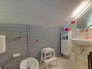 a small bathroom with a sink and a toilet at Apartments Dolžan in Bled +24 photos
