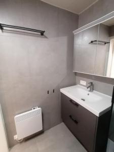 a bathroom with a white sink and a mirror at Marisol in Bredene +15 photos