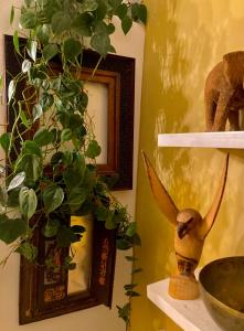 a room with a mirror and a plant on a shelf at Eagles Nest in Kirstenhof