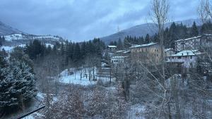 a village in the snow with trees and buildings at Claudia F in Pievepelago