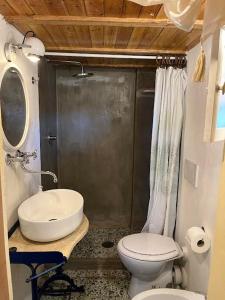 a small bathroom with a toilet and a sink at fienile di frida in Lucca