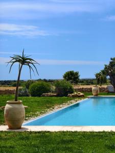 a palm tree in a pot next to a swimming pool at Casa Vendicari Boutique Hotel in Noto