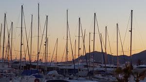 カンヌにあるStudio Palm Beach 200m de la Croisetteの夕日のマリーナに停泊する船団