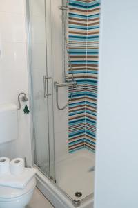 a bathroom with a shower and a toilet at EUCALYPTUS in Nerezine +15 photos