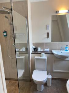 a bathroom with a toilet and a sink and a shower at Lysses House Hotel in Fareham +21 photos