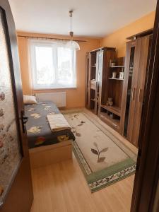 a small room with a bed and a window at Apartman Anna in Závada