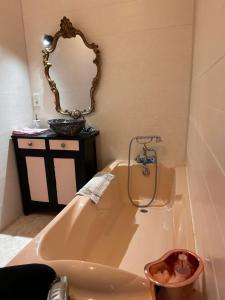 a bathroom with a bath tub and a mirror at La chambre magique in Masseret +40 photos