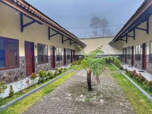 a palm tree in the courtyard of a building at Bawangan Express in Ngadisari