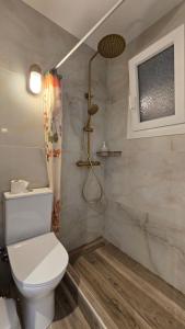 ein Badezimmer mit Toilette und Dusche in der Unterkunft Nostos in Patitiri + 121 Fotos
