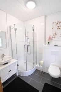a bathroom with a shower and a toilet and a sink at Haus Sternenstrand Tossens in Tossens