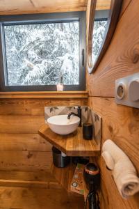 a bathroom with a sink and a window at lodge 1 - les jolis chalets in Barbey-Séroux +31 photos