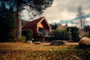 a small wooden cabin with a porch and a tree at lodge 1 - les jolis chalets in Barbey-Séroux