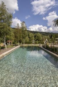 a pool of water with a fence and trees at chalet 1 - les jolis chalets in Barbey-Séroux