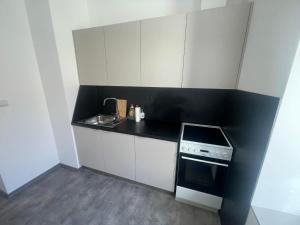 a small kitchen with a stove and a sink at Hotel u Freuda Příbor in Nový Jičín +10 photos