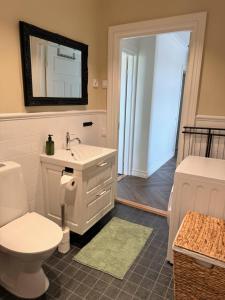 a bathroom with a toilet and a sink and a mirror at Stava Mosters in Mariehamn +100 photos