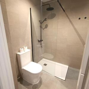 a bathroom with a toilet and a shower at Apartamentos ATARAZANAS in Málaga